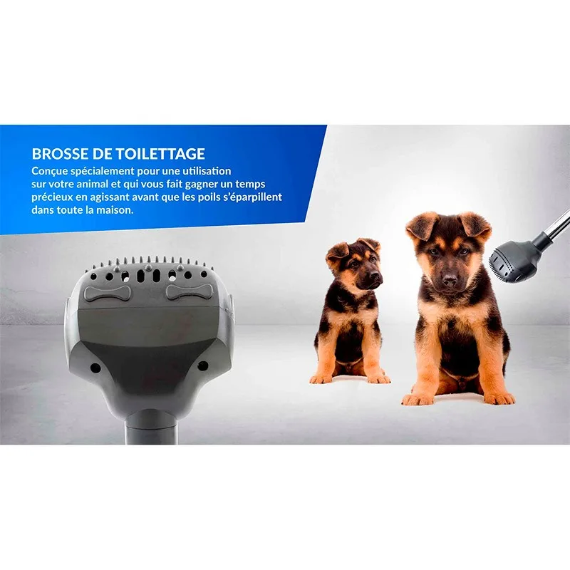 Set De 2 Brosses Universelles Pet modèle BP2 De Harper - Zenkaa