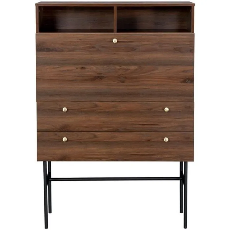 LODGE SECRÉTAIRE 1 PORTE BATTANTE 2 TIROIRS - BOIS ET MÉTAL FALODGEBUR1P2T - Zenkaa
